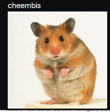 cheembis